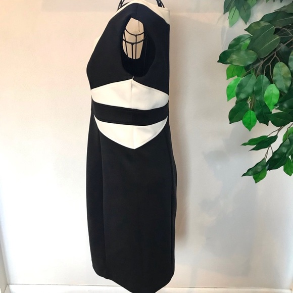 Ronni Nicole Sleeveless Color Block Pattern Dress - Picture 5 of 7